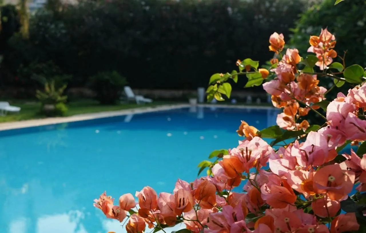 Villa Megna - Green Paradise B&B 팔레르모