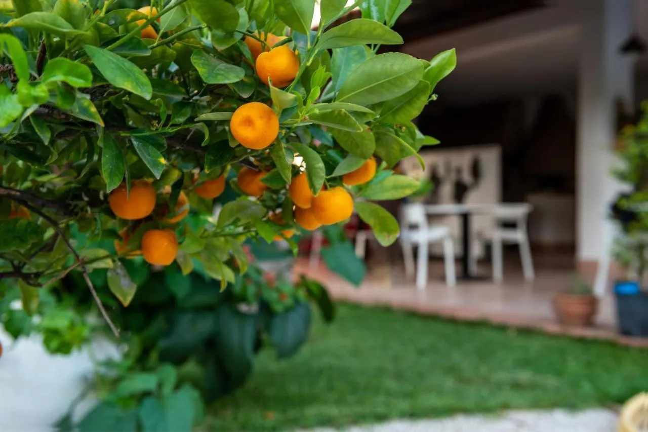 Villa Megna - Green Paradise B&B Palermo 0*,